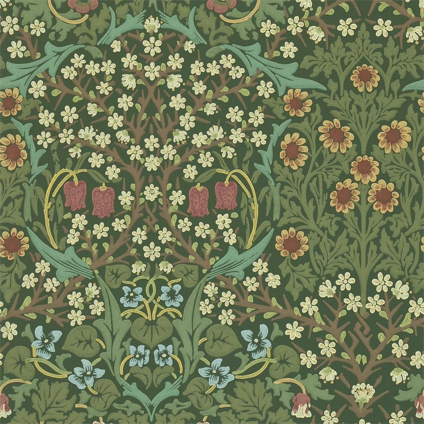 Olive - Blackthorn