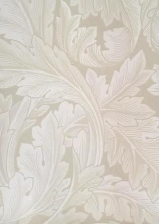 Cream - Acanthus