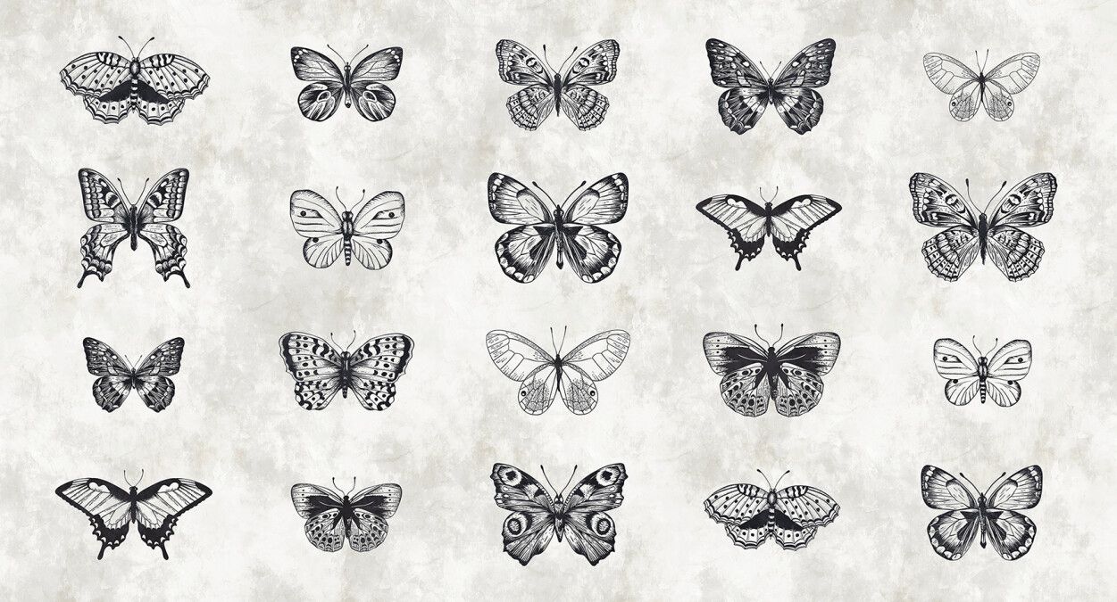 Sketchpad Butterflies Mural