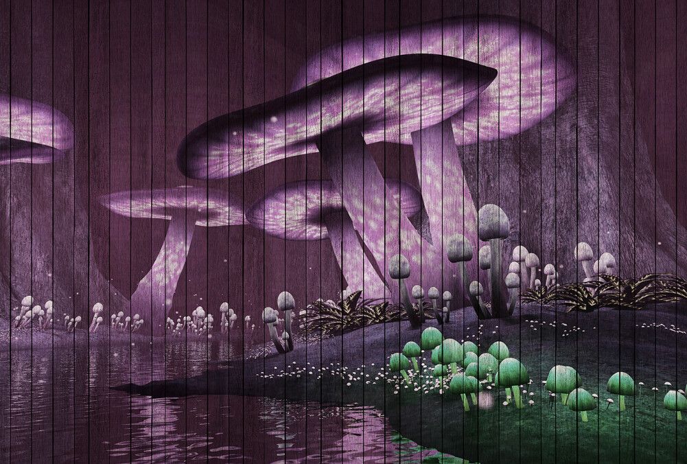 Fantasy 2 Mural