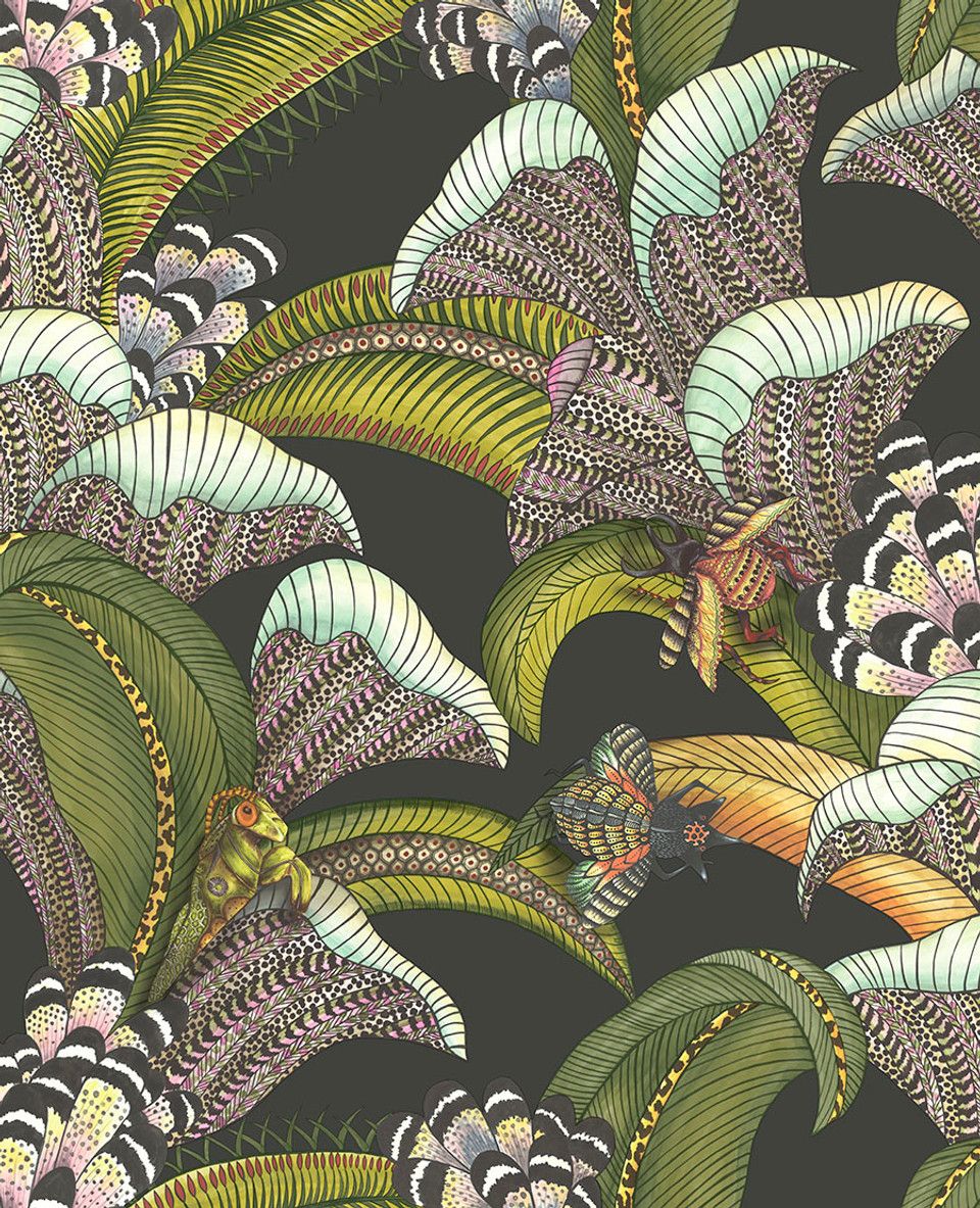 Black - Hoopoe Leaves