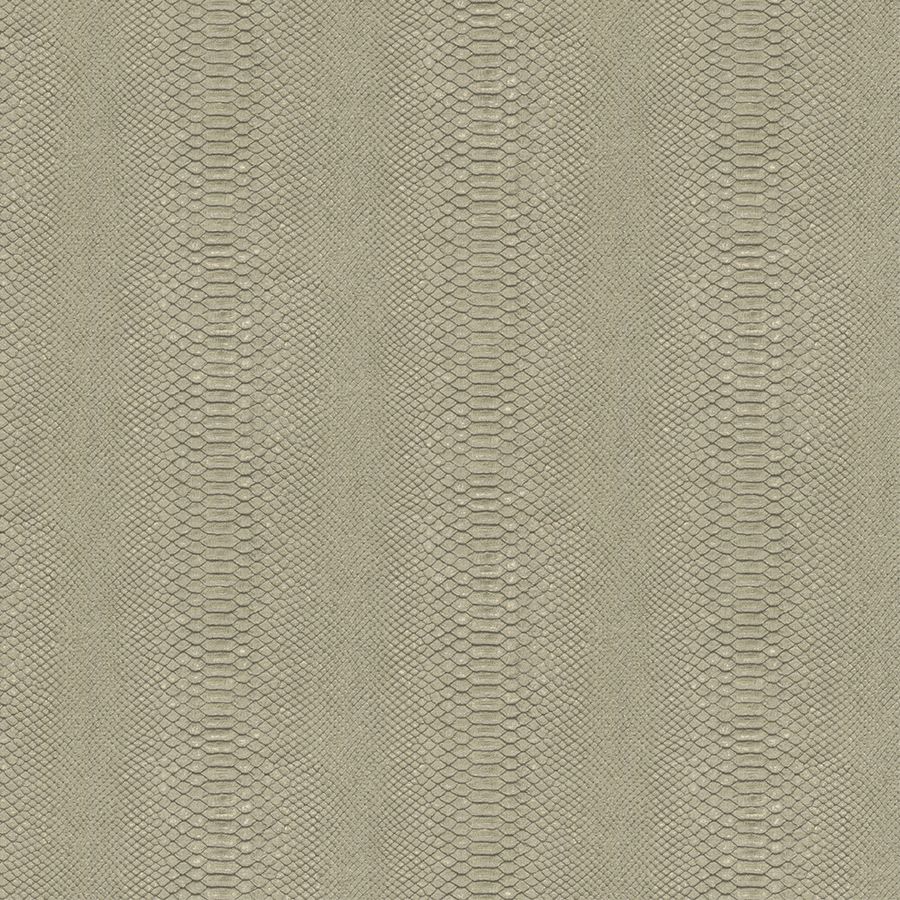 Brass - Python - IN STOCK