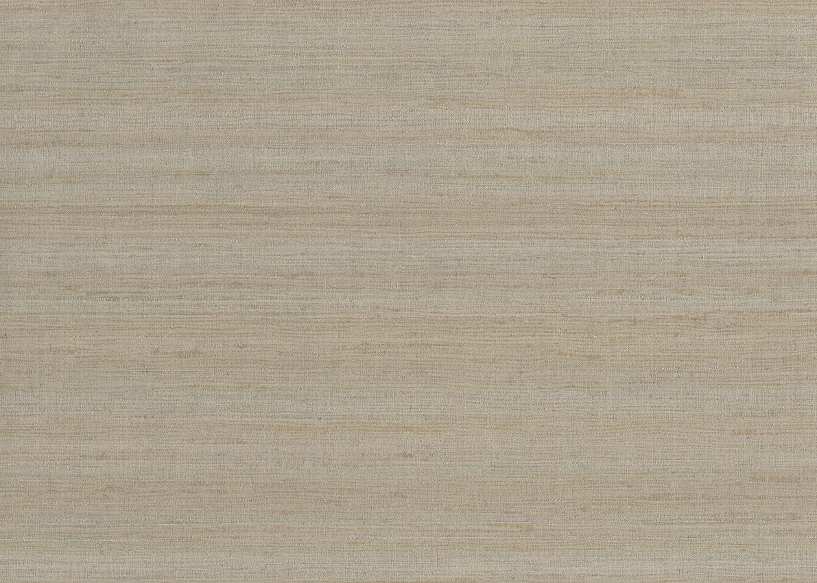 Pewter - Jaipur Silk