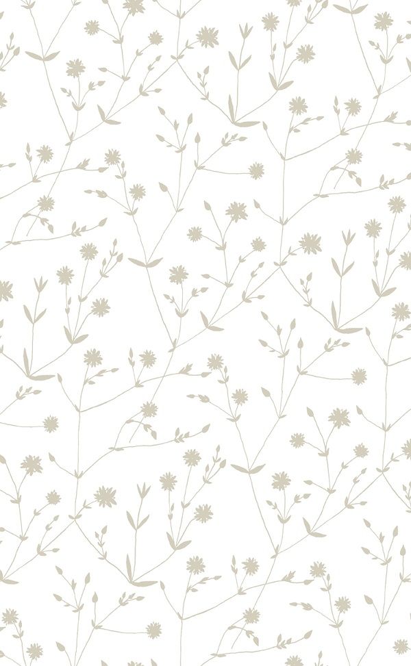 Beige - Illalla on White