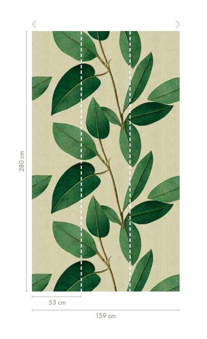 Ficus Panel