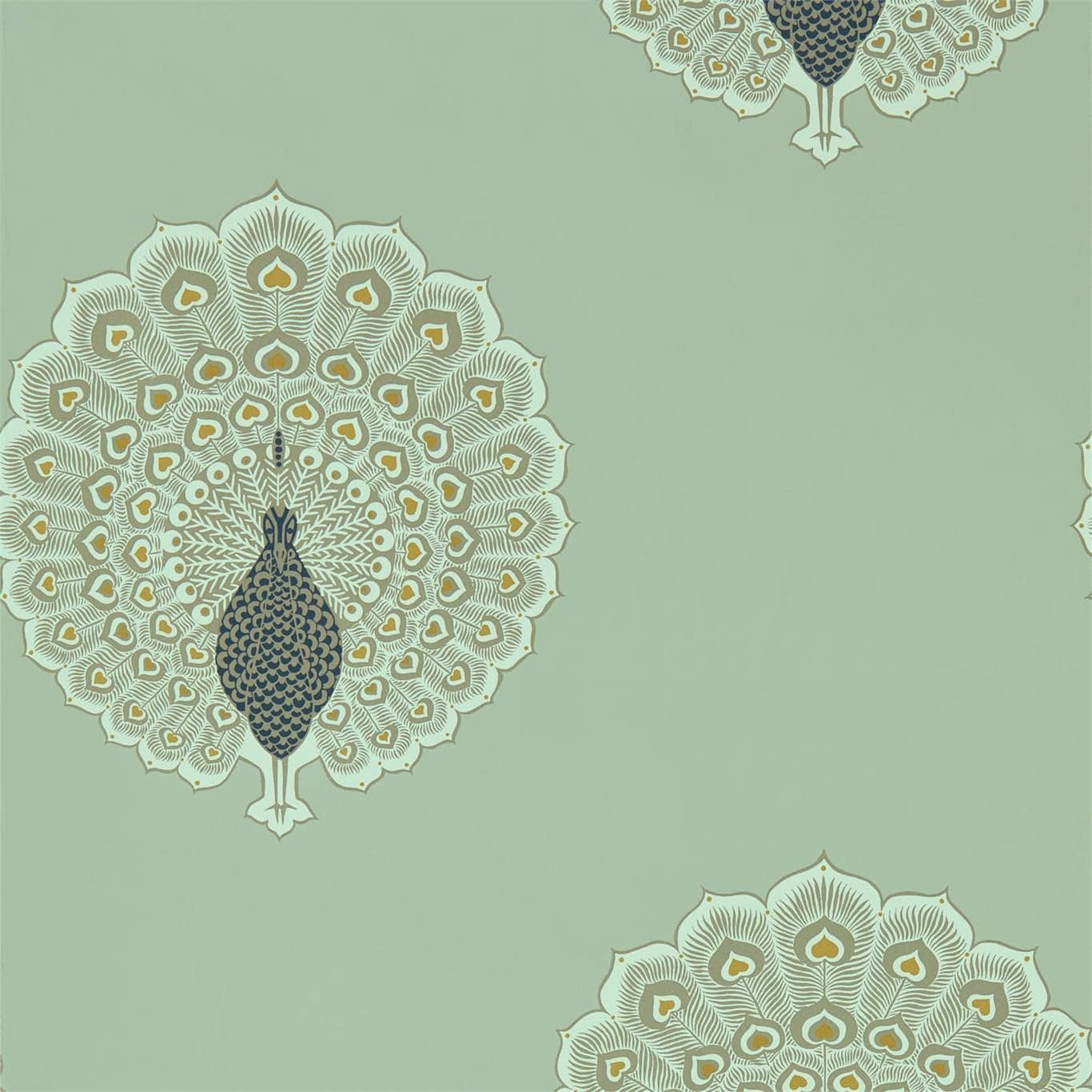 Mint - Kalapi