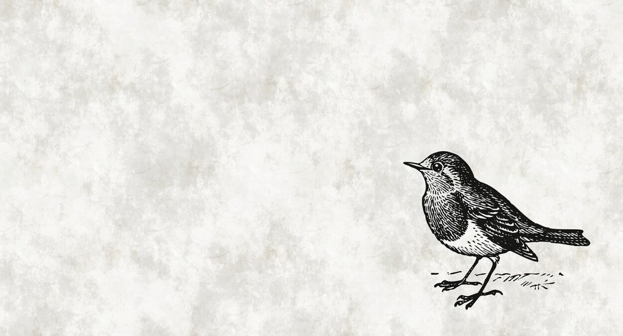 Sketchpad Bird Mural