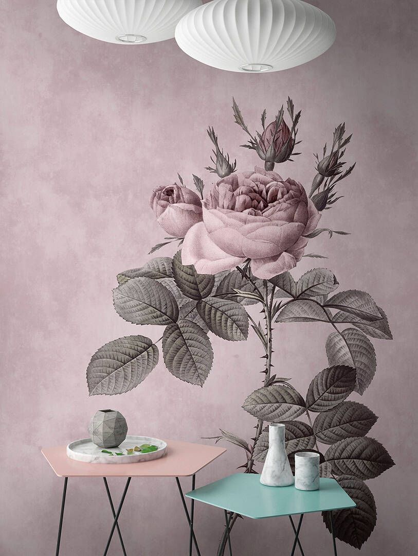 Rose 1 Mural
