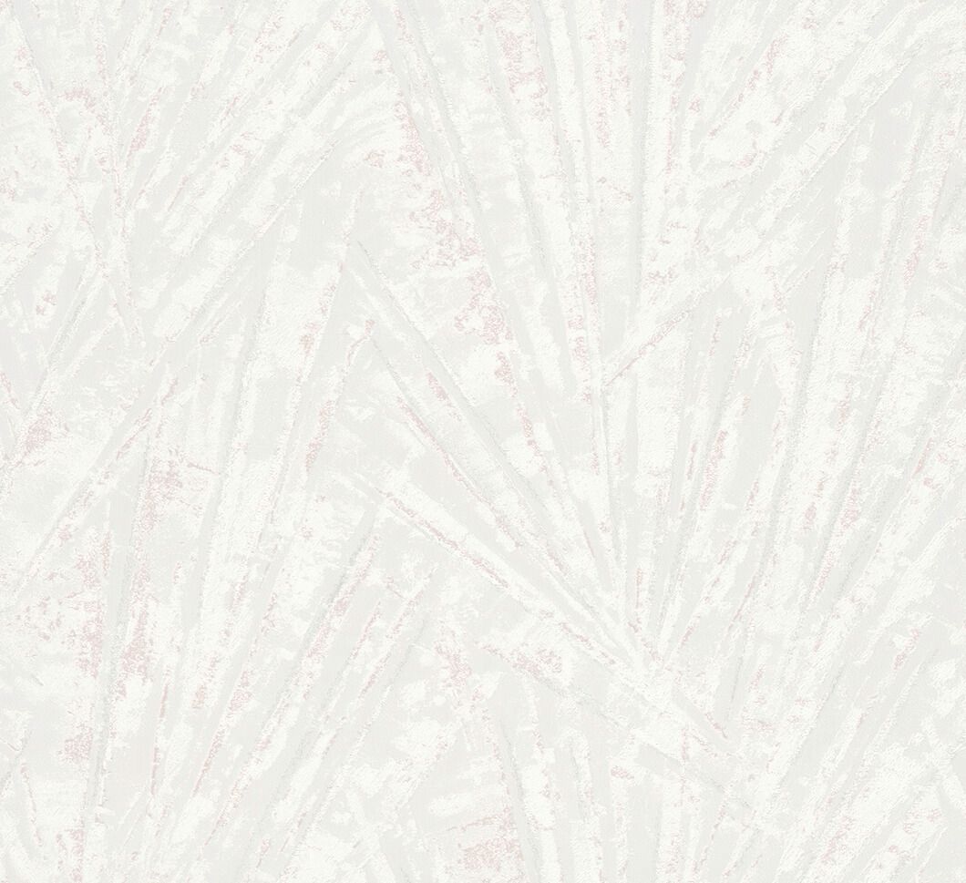 Pearl - Loveday Palm - IN STOCK