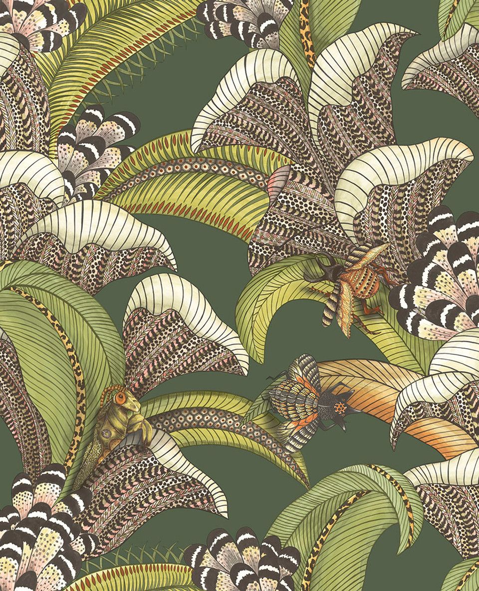 Olive - Hoopoe Leaves