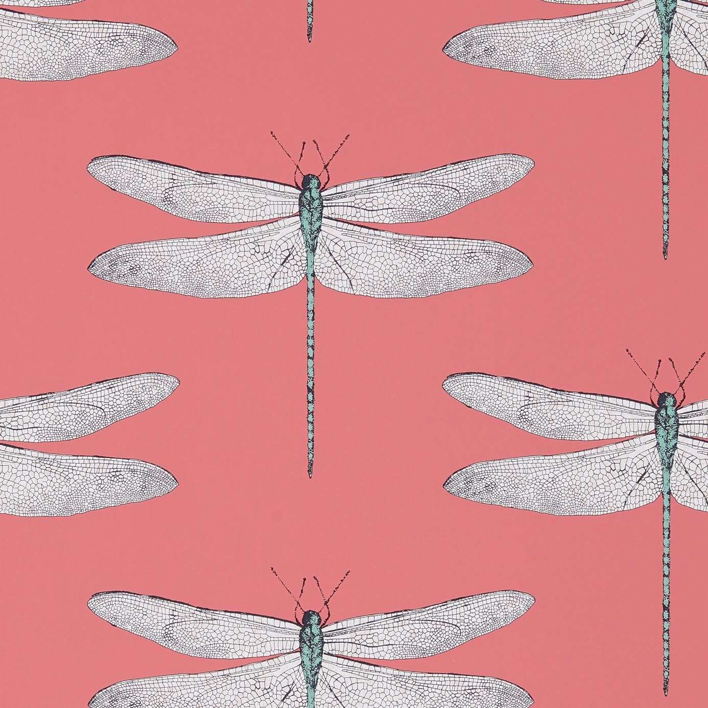 Pink - Demoiselle