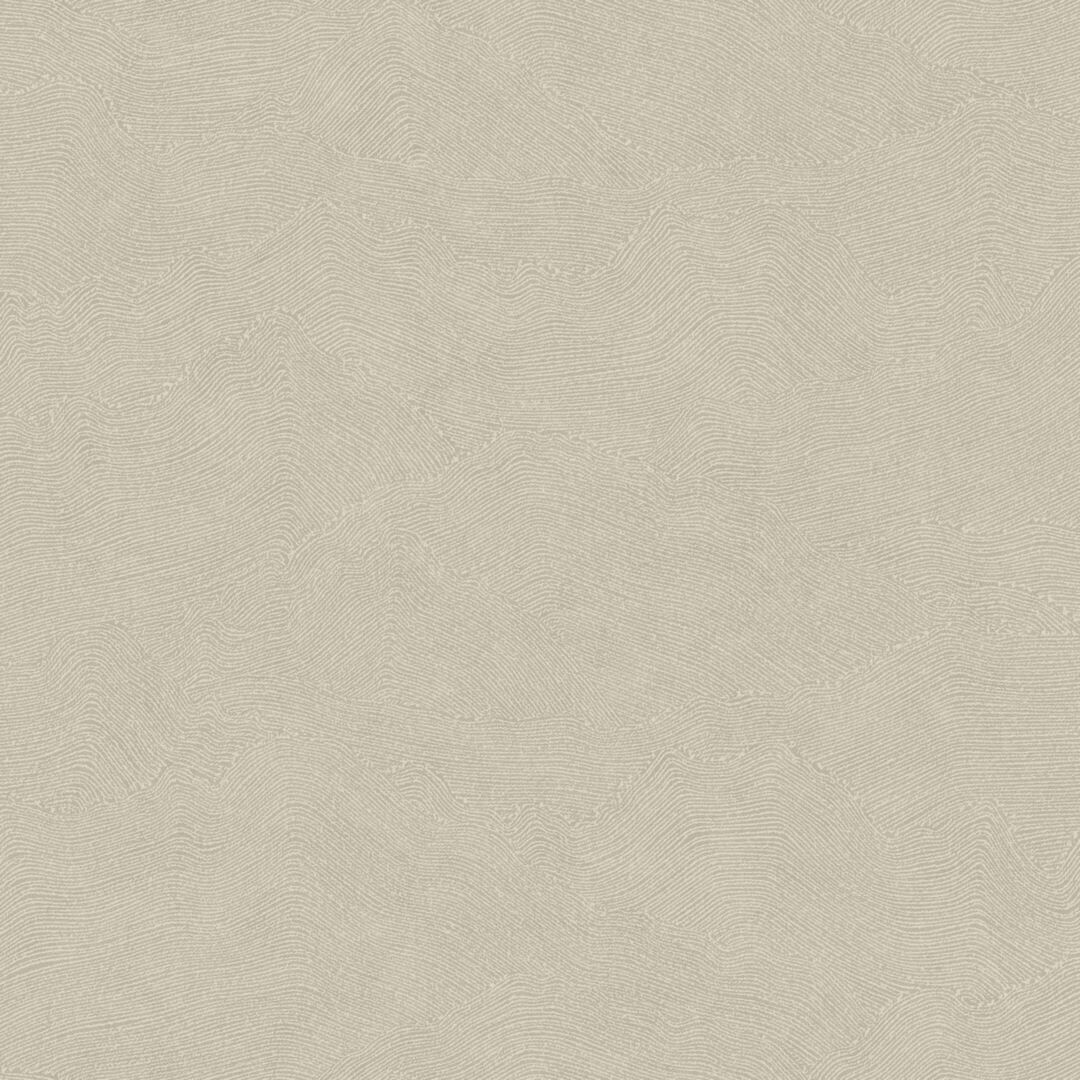 Taupe - Cote D'Opale
