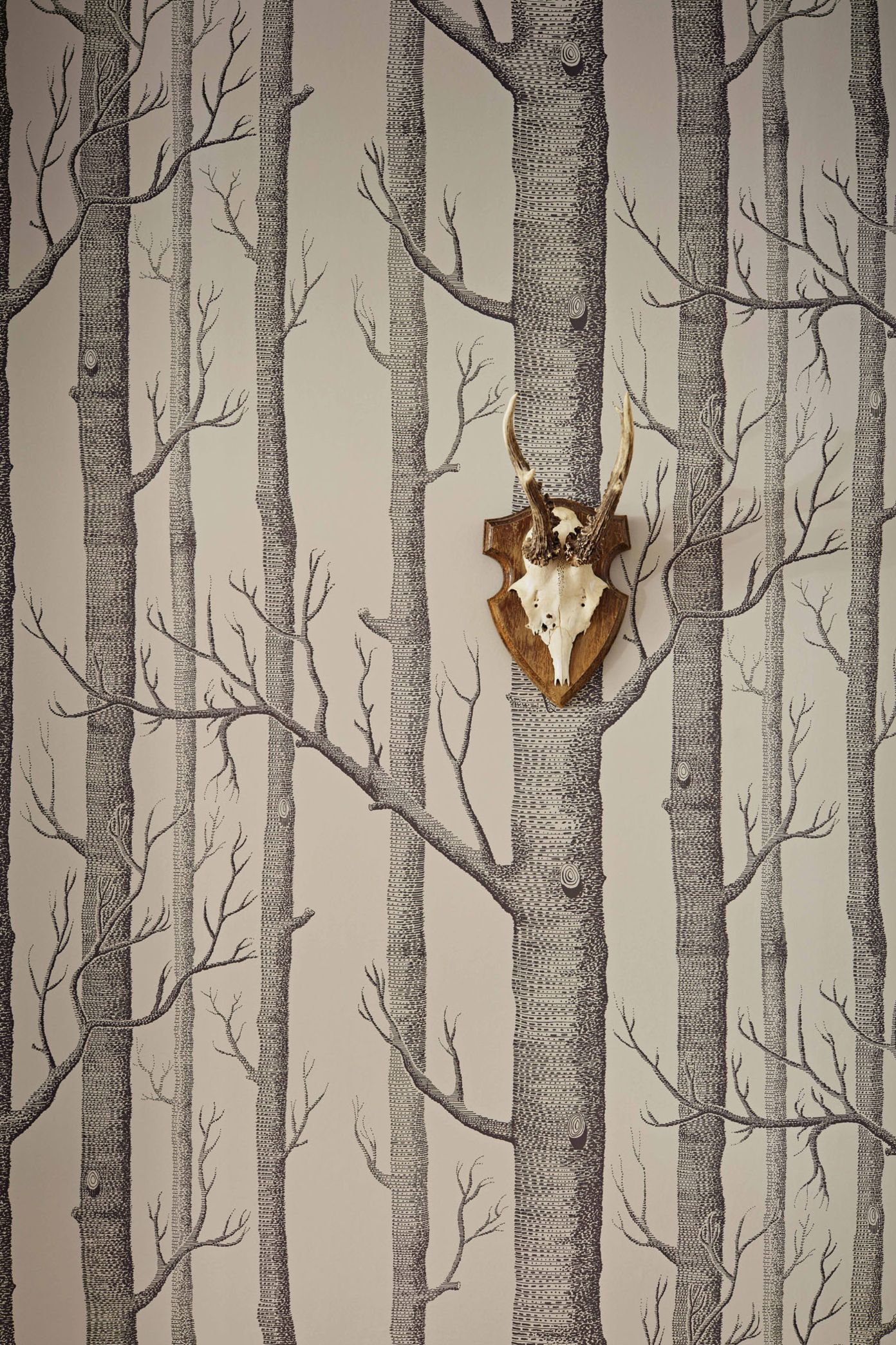 Charcoal - Woods