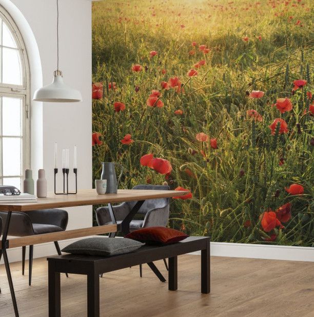 Poppy World Mural