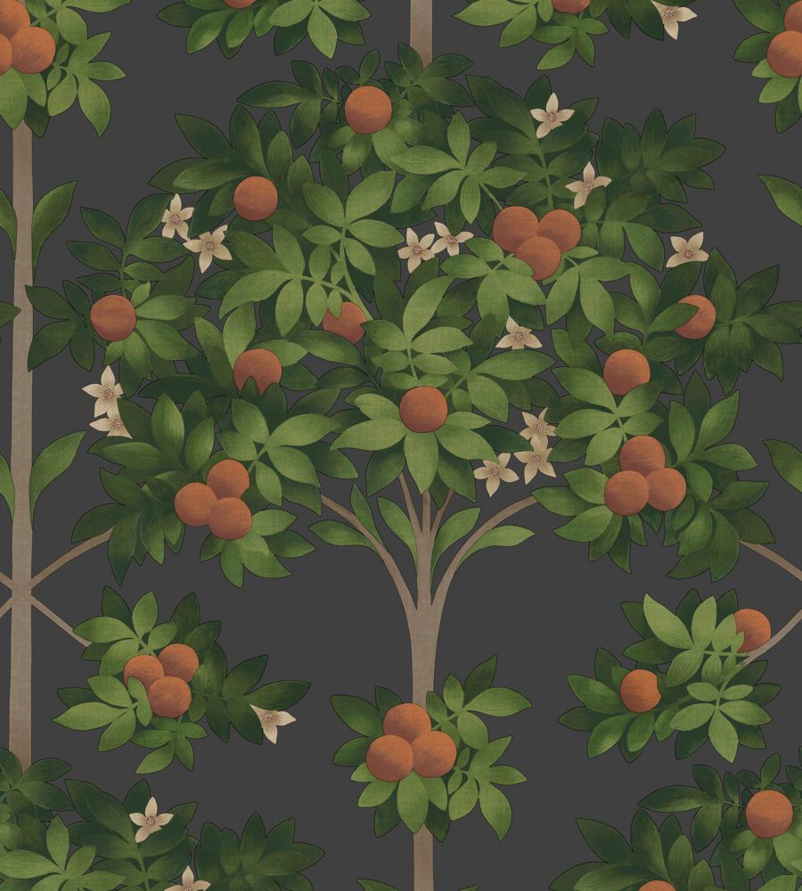 Black - Orange Blossom