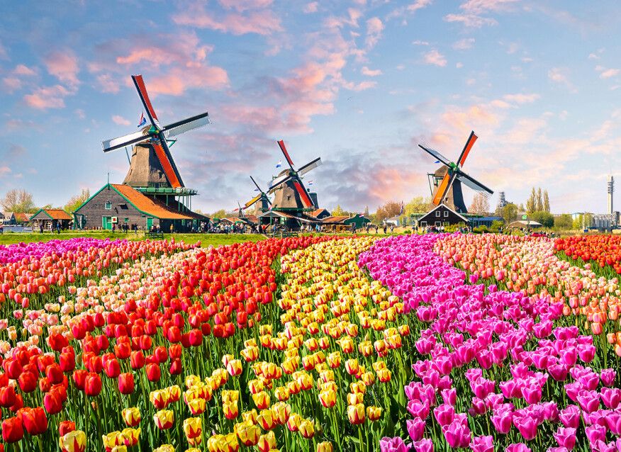 Zaanse Schans Mural
