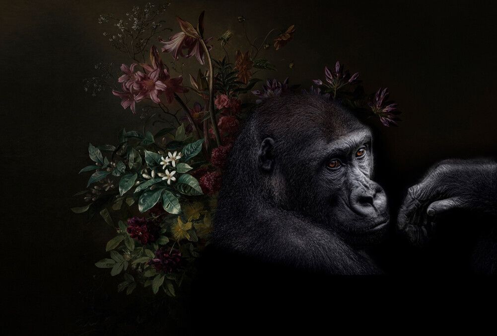 Wildlife 3 Mural