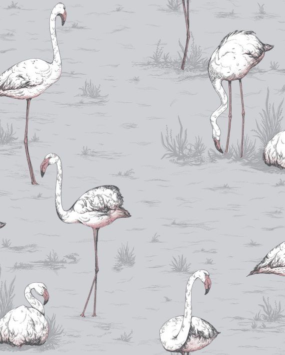 Grey - Flamingos