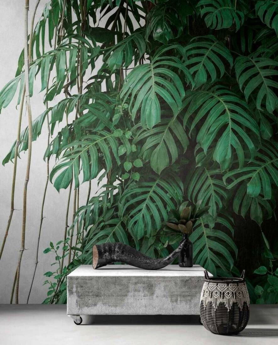 Monstera Wall Mural