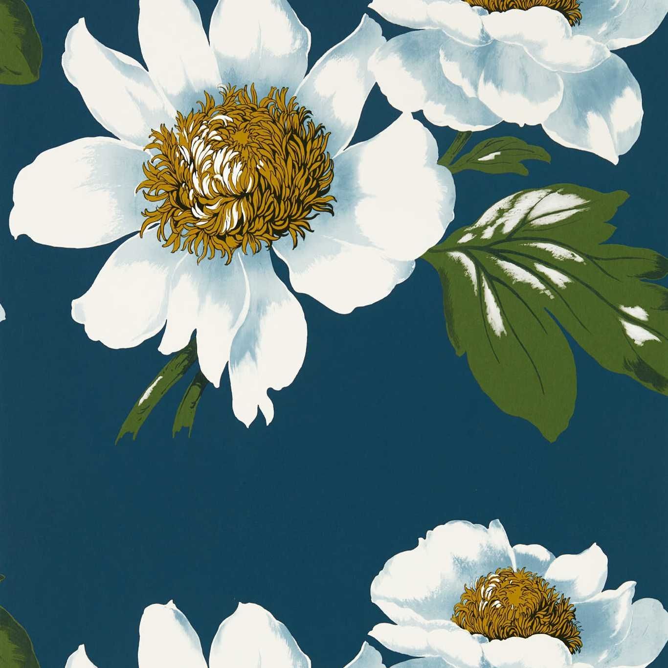 Blue - Paeonia