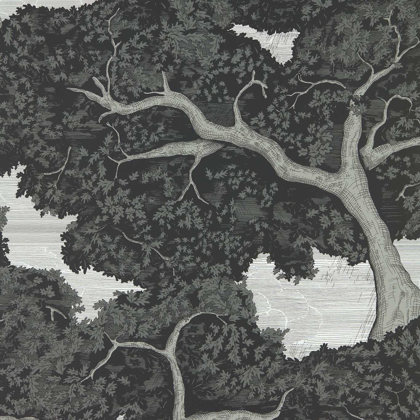 Charcoal - Eternal Oak