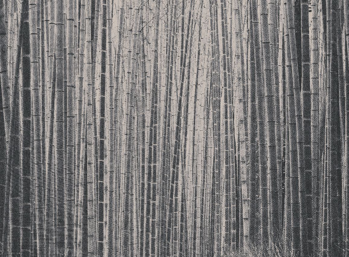 Arashiyama Mural - Charcoal