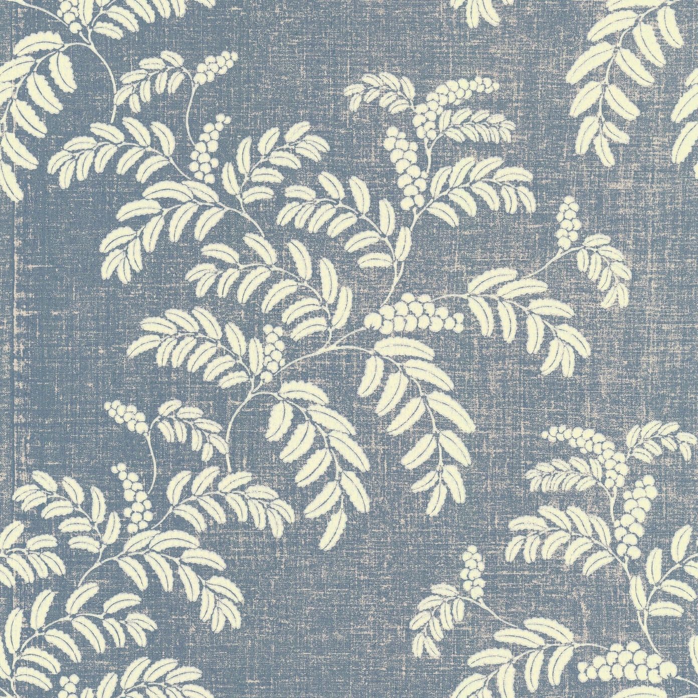 Blue - LVB Acacia