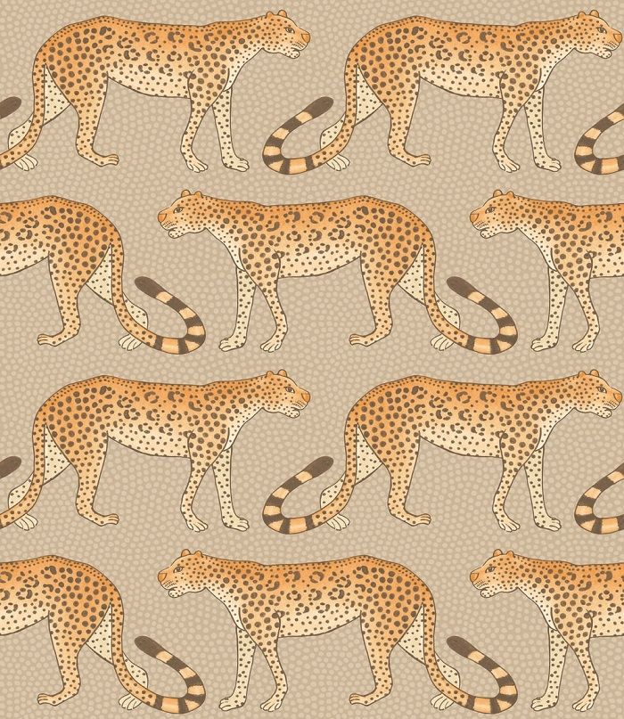 Orange - Leopard Walk