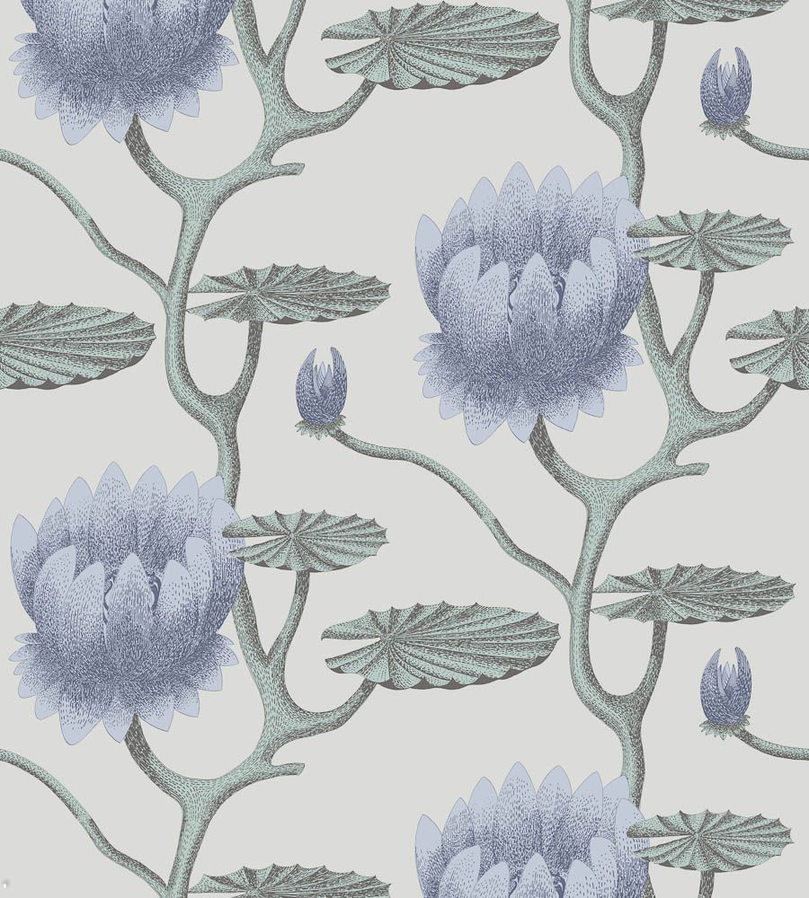 Blue - Summer Lily