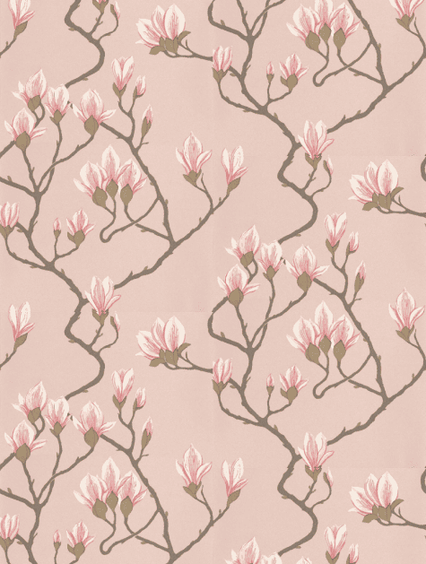 Pink - Magnolia