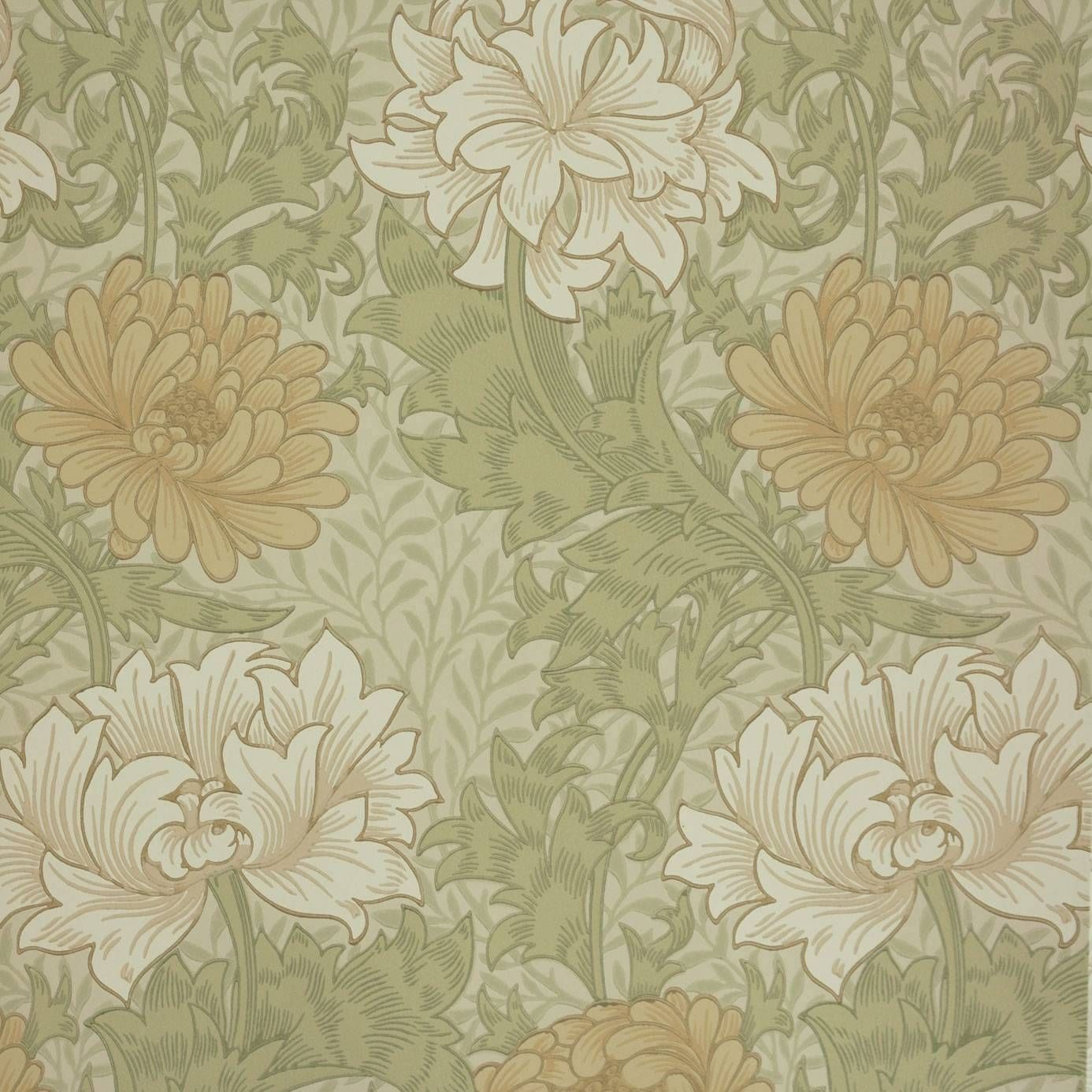 Green - Chrysanthemum