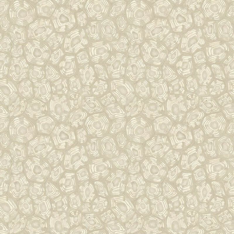 Champagne - Savanna Shell
