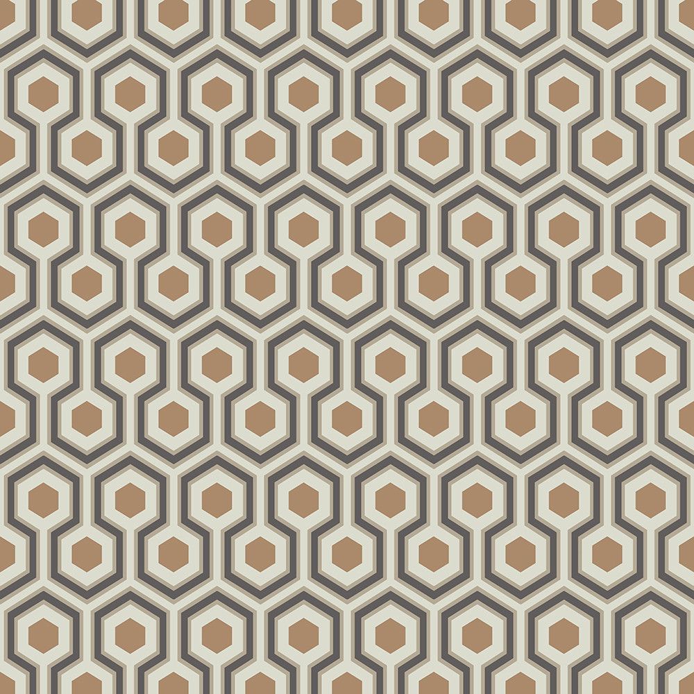 Bronze - Hick's Hexagon
