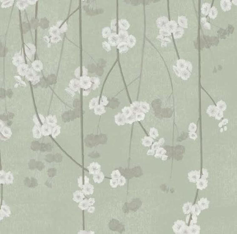 Sage - Cherry Blossom