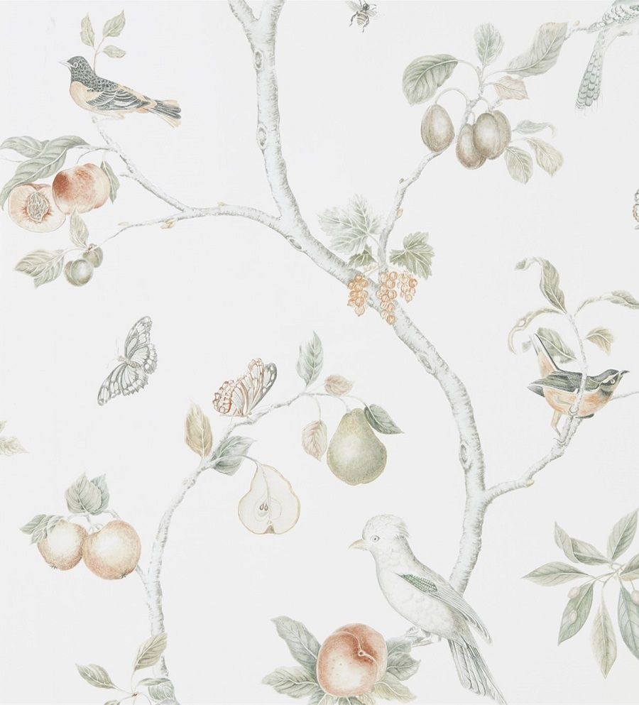 Olive - Fruit Aviary