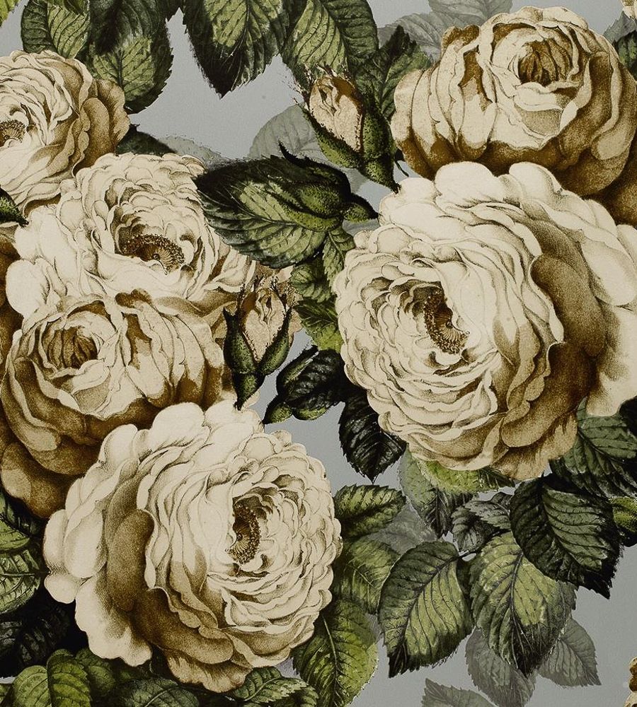 Grey - The Rose