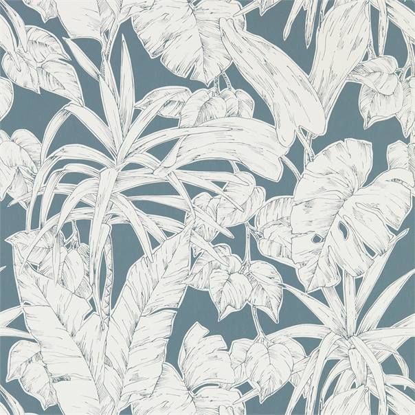 Slate - Parlour Palm