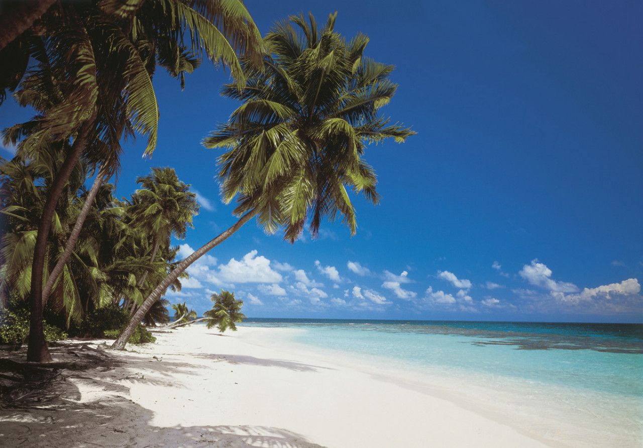 Maldives Mural