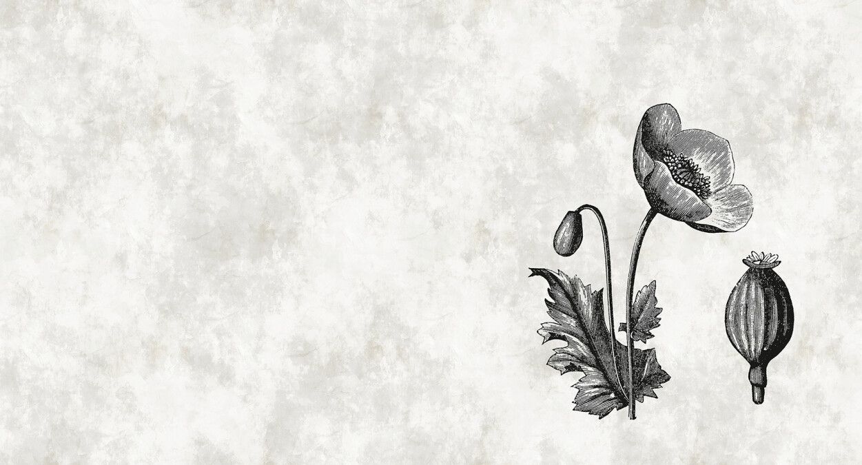 Sketchpad Poppy Mural