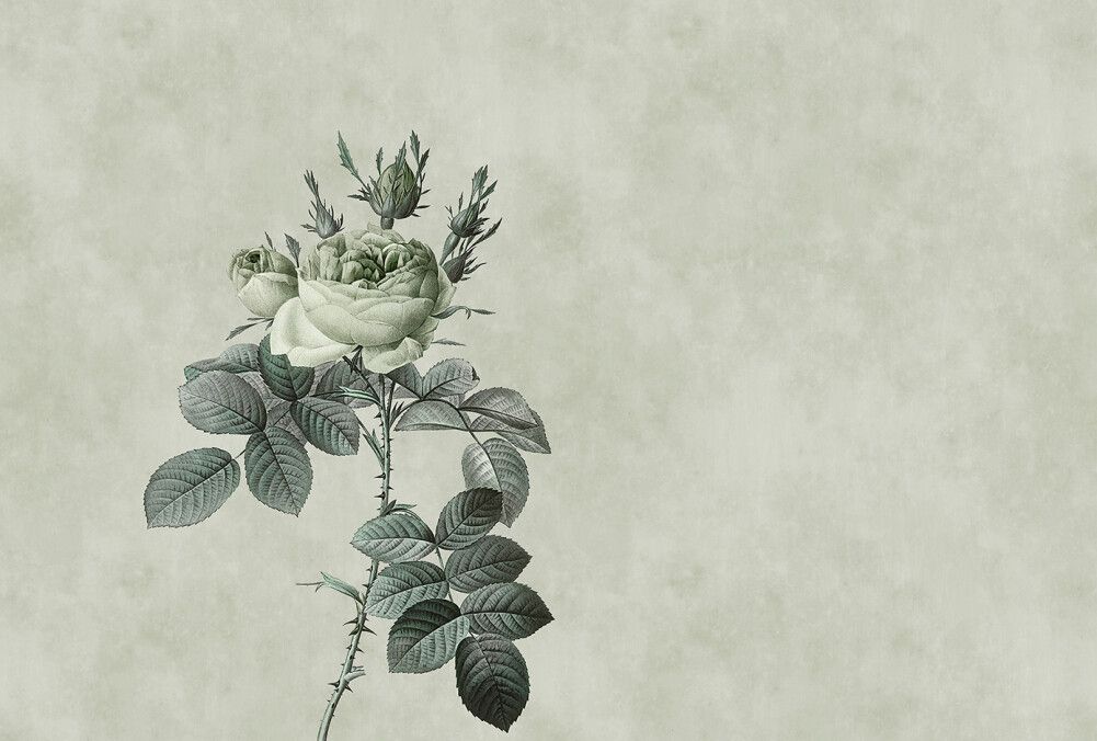 Rose 2 Mural