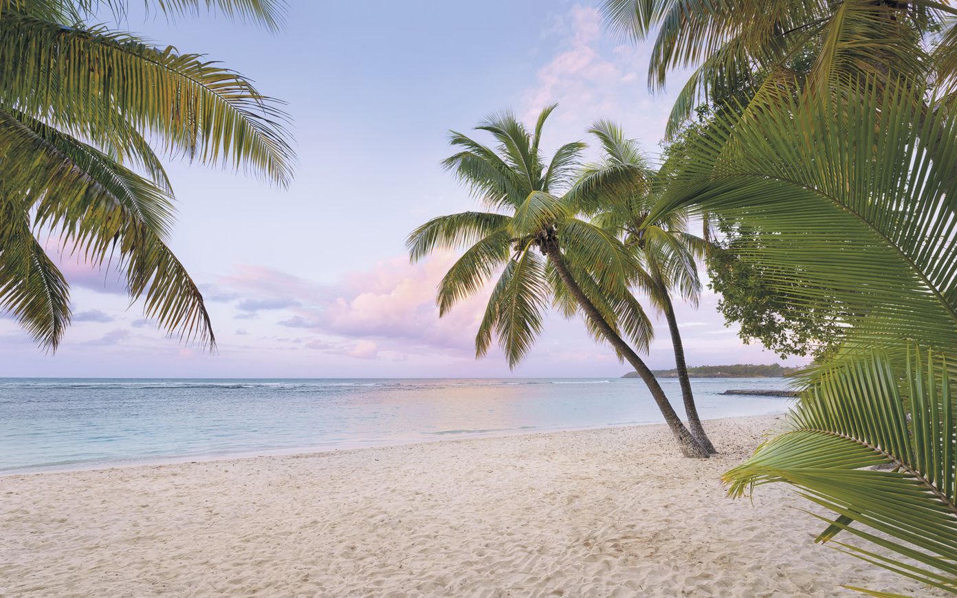 Paradise Morning Mural