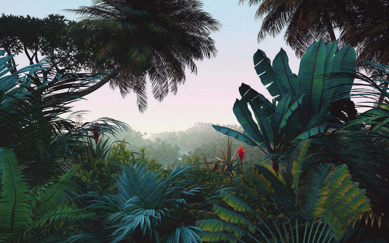 Jungle Morning Mural
