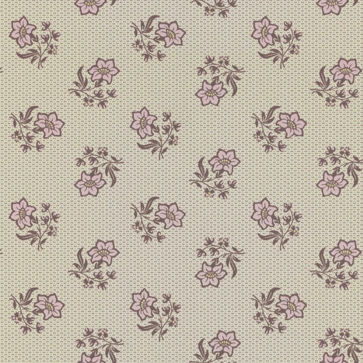 Pink - Edelweiss