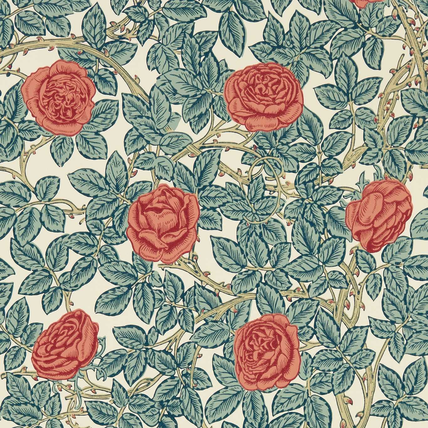 Blue - Rambling Rose