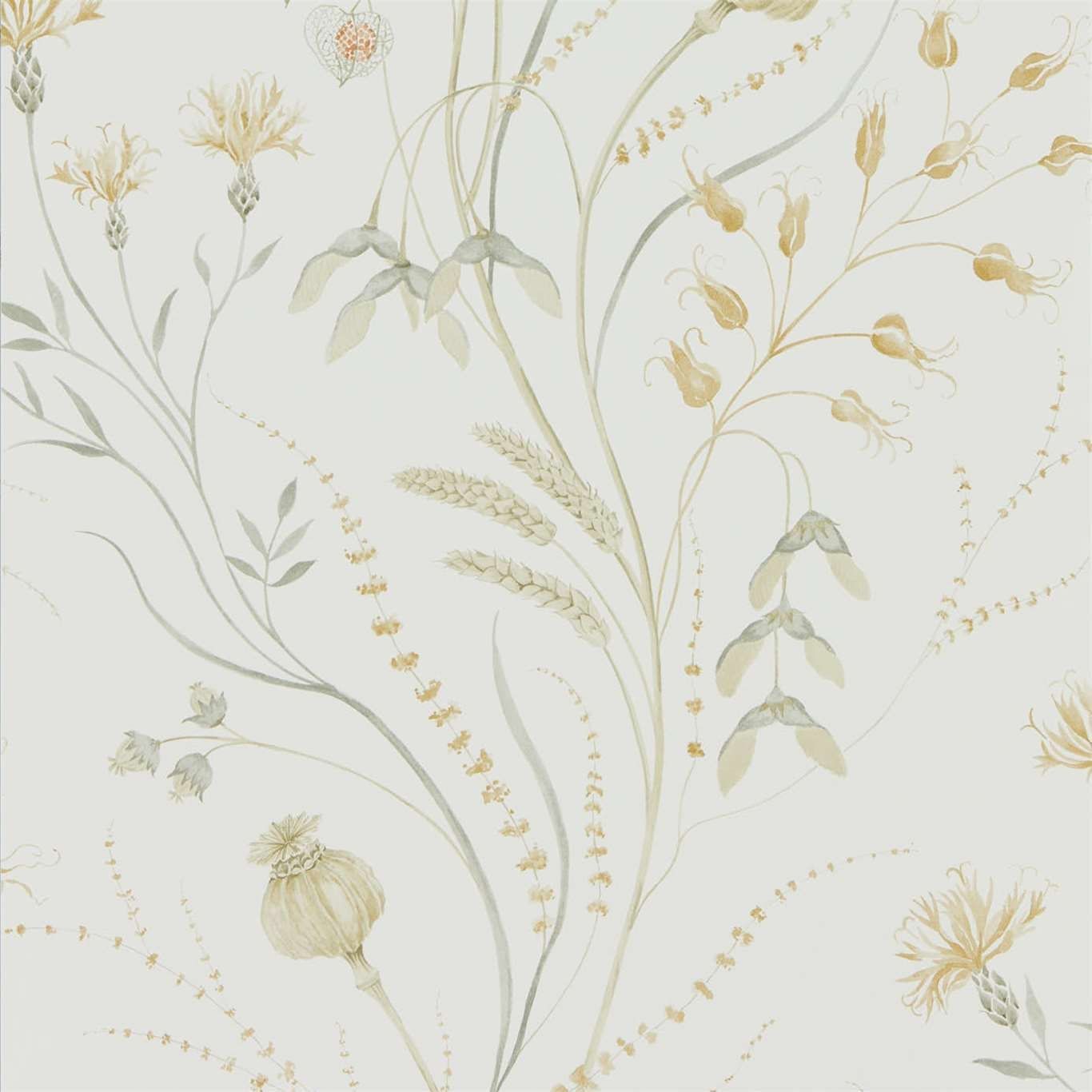 Ochre - Summer Harvest