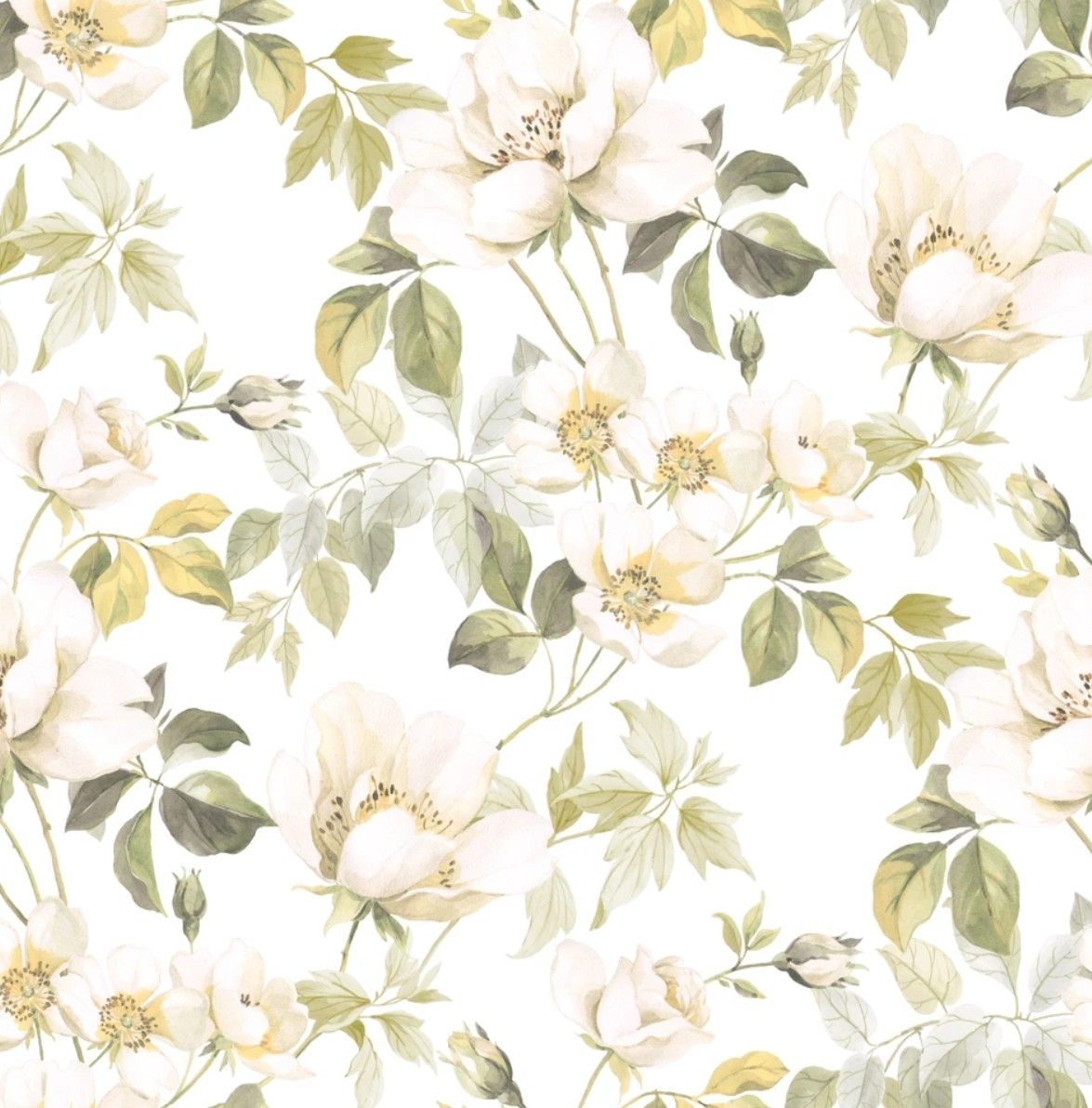 Olive - Sous Les Rosiers