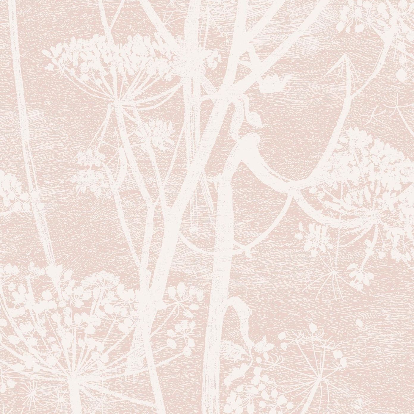 Pink - Cow Parsley