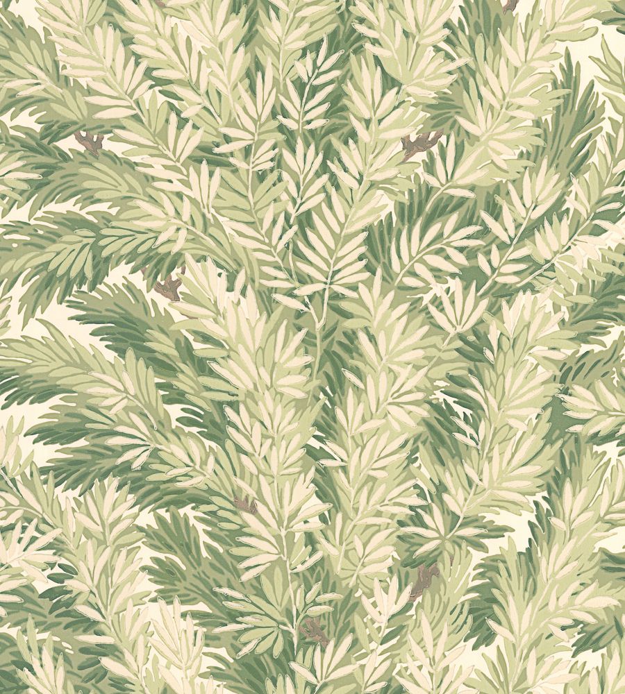 Olive - Florencecourt