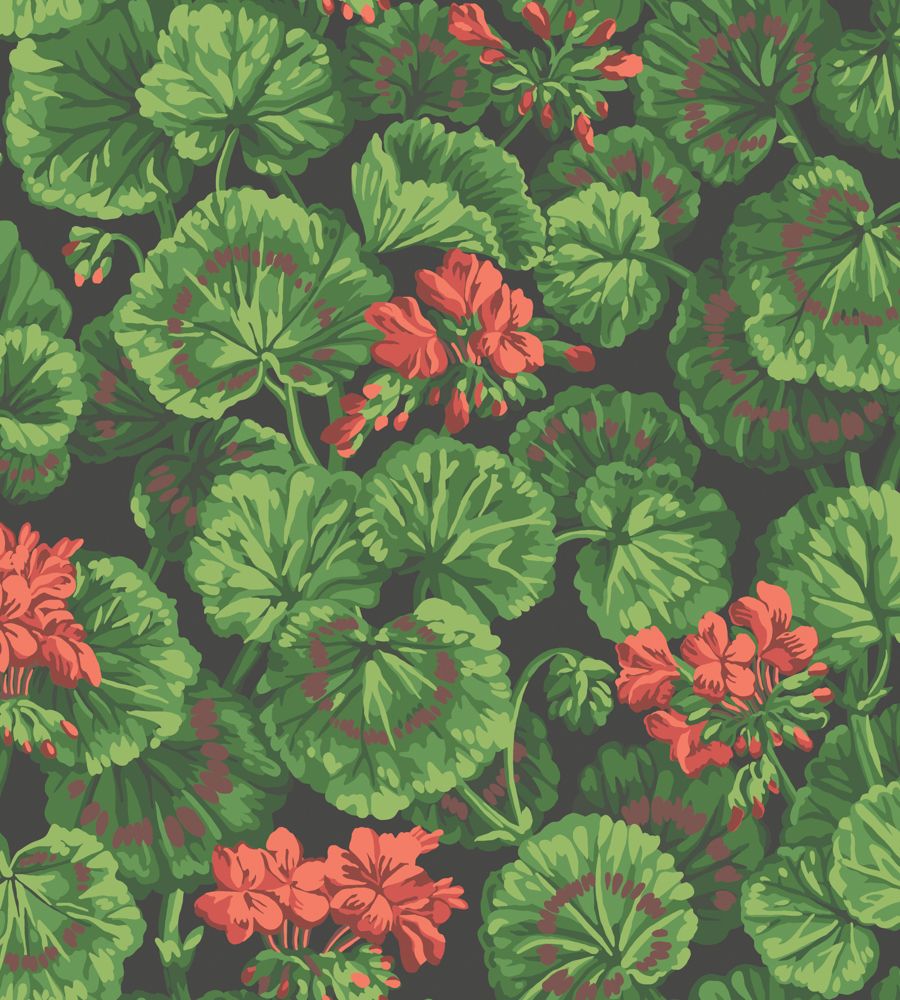 Black - Geranium