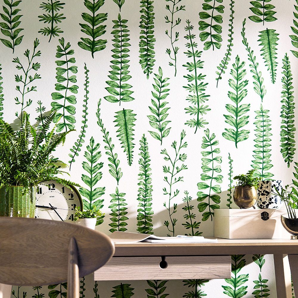 Ferns
